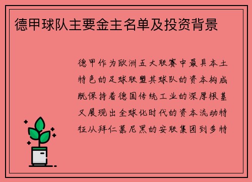 德甲球队主要金主名单及投资背景