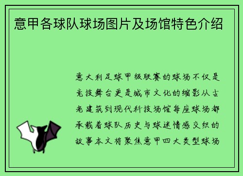 意甲各球队球场图片及场馆特色介绍